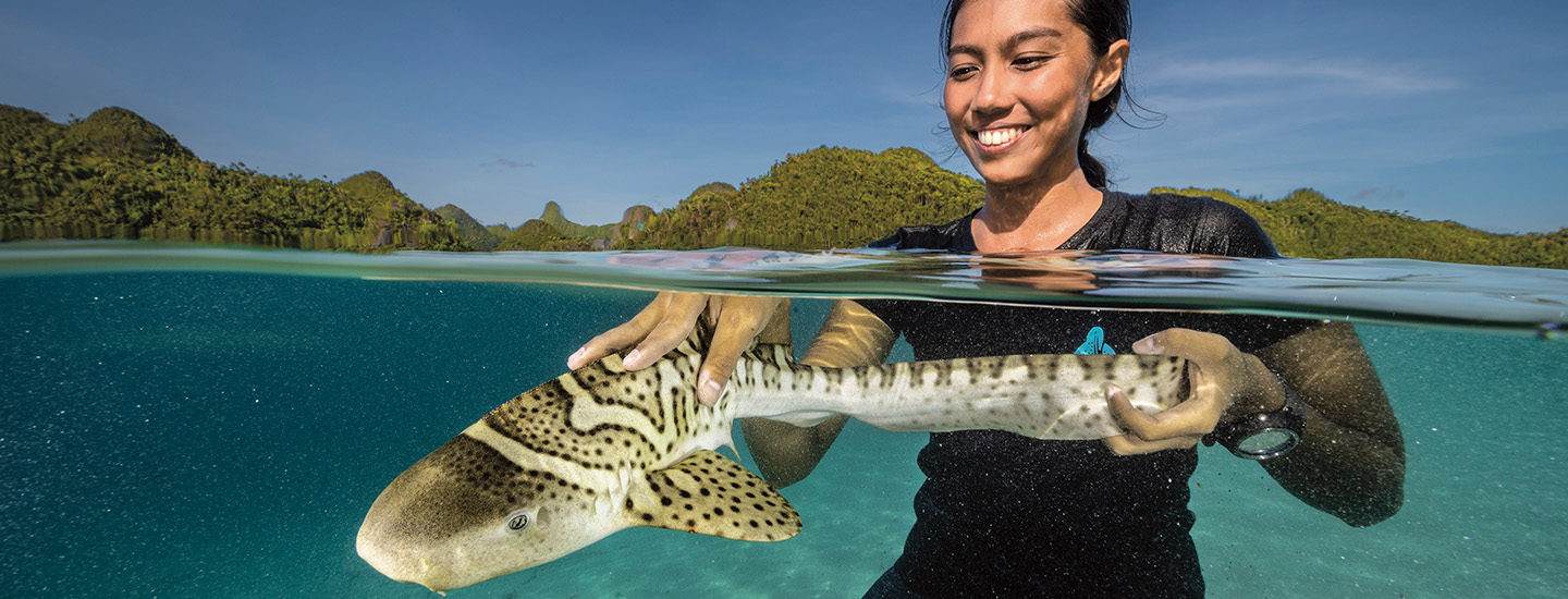 Image of a person holding a sandshark in the water